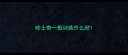 哈士奇一般训练什么好