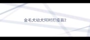 金毛犬幼犬何时打疫苗