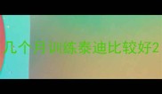 几个月训练泰迪比较好