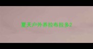 夏天户外养拉布拉多