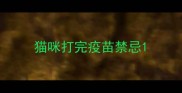 猫咪打完疫苗禁忌