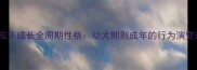 拉布拉多成长全周期性格幼犬期到成年的行为演变规律