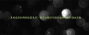 未打疫苗的狗狗能剪毛吗新手必看剪毛避坑指南附护理全流程