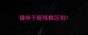 猫咪干呕咳嗽区别