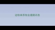 边牧串苏牧会是陨石色