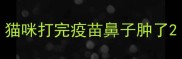 猫咪打完疫苗鼻子肿了