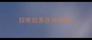 拉布拉多区分好坏