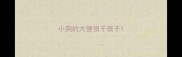 小狗的大便很干很干