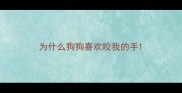 为什么狗狗喜欢咬我的手