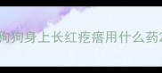 狗狗身上长红疙瘩用什么药