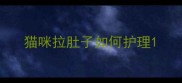 猫咪拉肚子如何护理