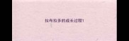 拉布拉多的成长过程