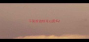 干洗粉边牧可以用吗