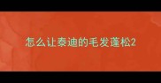 怎么让泰迪的毛发蓬松