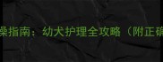 两个月大哈士奇洗澡指南幼犬护理全攻略附正确方法与注意事项