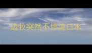 边牧突然不停流口水