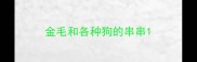 金毛和各种狗的串串