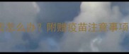 狗狗打疫苗后出现不良反应怎么办附赠疫苗注意事项清单新手养狗必看