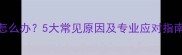 成年拉布拉多咳嗽怎么办5大常见原因及专业应对指南附症状鉴别表