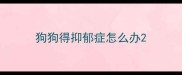 狗狗得抑郁症怎么办