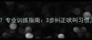 狗狗特别爱叫怎么办专业训练指南3步纠正吠叫习惯打造安静乖巧宠物