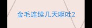 金毛连续几天呕吐