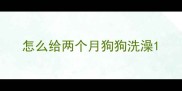 怎么给两个月狗狗洗澡