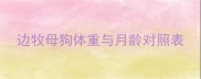 边牧母狗体重与月龄对照表