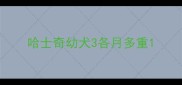 哈士奇幼犬3各月多重