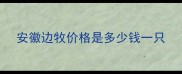 安徽边牧价格是多少钱一只