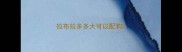 拉布拉多多大可以配狗