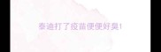 泰迪打了疫苗便便好臭