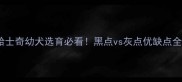 哈士奇幼犬选育必看黑点vs灰点优缺点全