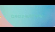 拉布拉多毛短不掉毛