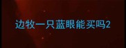 边牧一只蓝眼能买吗