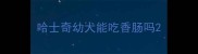 哈士奇幼犬能吃香肠吗