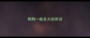 狗狗一般多大后听话