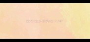 拉布拉多狗狗怎么样
