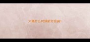 大猫什么时候能打疫苗
