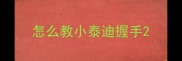怎么教小泰迪握手