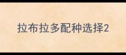 拉布拉多配种选择