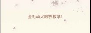 金毛幼犬喂养教学