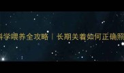 猫咪怀孕期间科学喂养全攻略长期关着如何正确照顾孕妈和宝宝