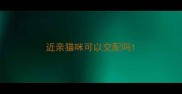 近亲猫咪可以交配吗