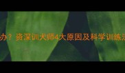 边牧幼犬爱叫怎么办资深训犬师4大原因及科学训练法附养护指南