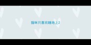 猫咪只喜欢睡地上