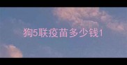 狗5联疫苗多少钱