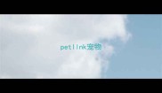 petllnk宠物