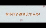 拉布拉多很调皮怎么办