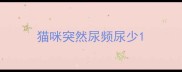 猫咪突然尿频尿少